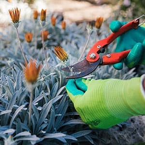 Gardening Gloves