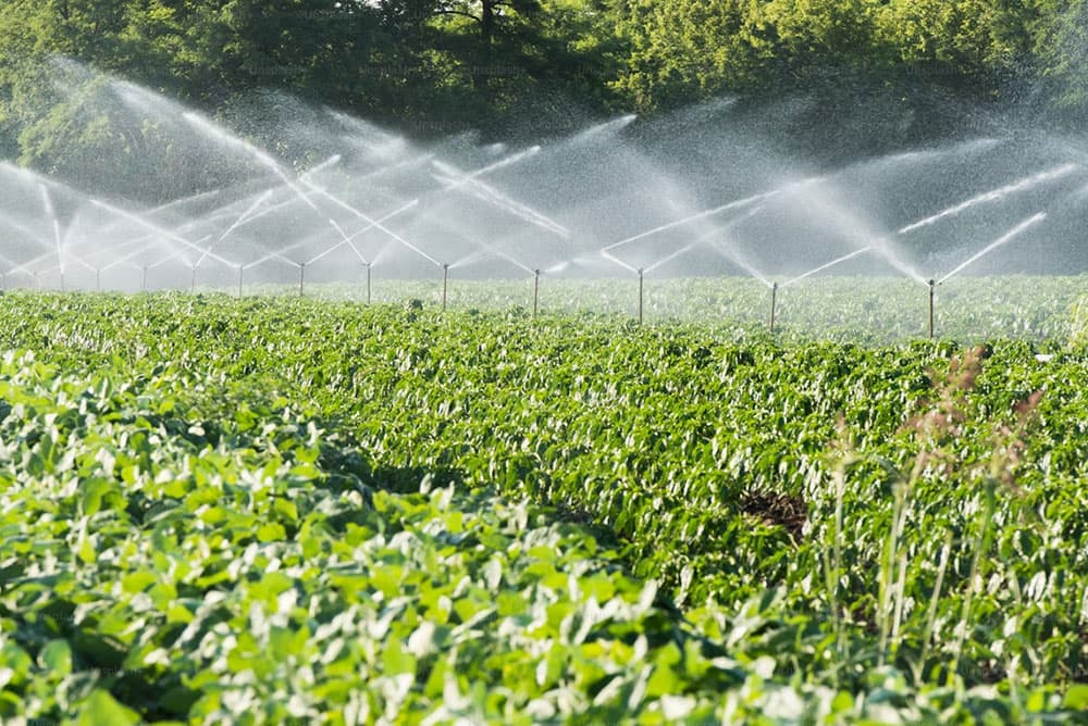 Irrigation system in a field
