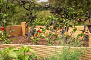 Raised bed for gardening