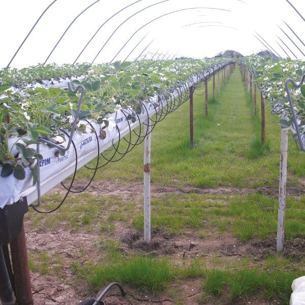 LDPE & MDPE Fittings