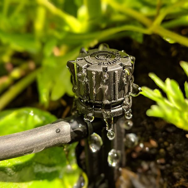 Drippers, Bubblers & Stakes