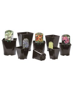 Aeroplas Square/Round Slotted Pots - 1L