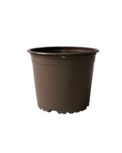 Aeroplas Recyclable Deep Rose Pots
