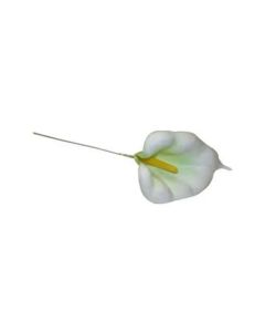 Calla Lily White Picks