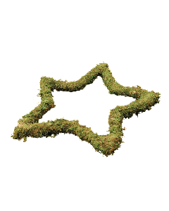 Padded Moss Effect Star - 14