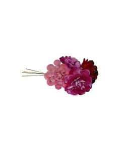 Georgina Dahlia Picks - Assorted