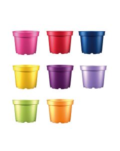 Teku 5° Squat Containers