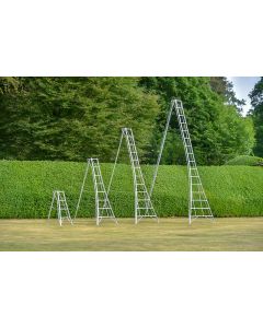 Tripod Platform Ladder 12'