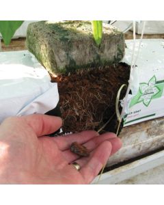 Jiffy Grow Bag - 50:50 Mix