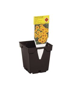 Square Injection Moulded Pots - Black - 13 x 13 x 13cm