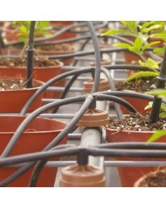 Netafim Manifold Set - 4-lead & Arrow Stake