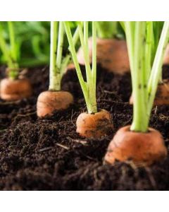 Organic Peat Free VegeGrow® Topsoil - (1 Tonne Bag)