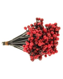 Red Holly Berry Picks