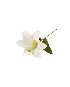 Harrissi Lily Picks - White