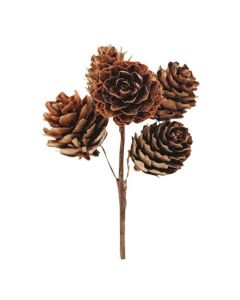 Pine Cone Cluster Picks