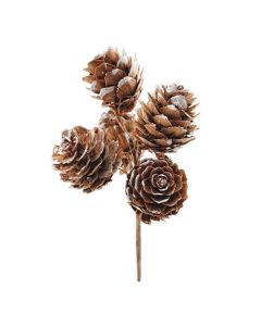 Frosted Cluster Picks