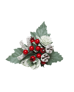 Snow Pick Red Berries