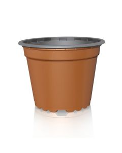 Teku 8° Continental Pots - Terra/Eco Grey - 0.44L