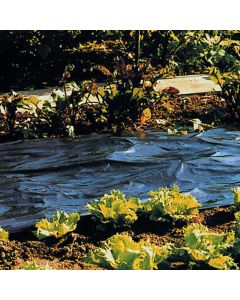 Black Mulch Film - 1.3m x 200m