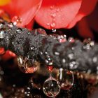 Pro Bore Drip Pipe - Porous Pipe - 20mm x 100m