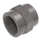 PVC Threaded Socket Fitting - 2" x 2"
