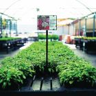 Flat Fixed Card Holder Stands - 8" x 6"