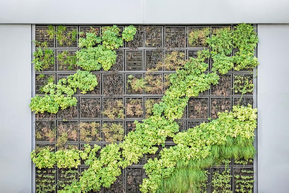 Example of a Vertical Garden